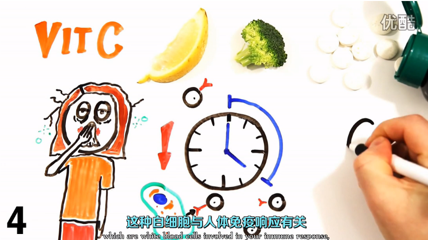 【科普】8种可以对抗感冒生病的食物 @柚子木字幕组