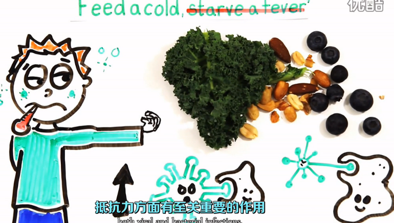 【科普】8种可以对抗感冒生病的食物 