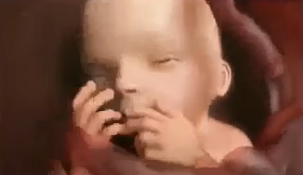 胎儿发育 第28-37周 震撼3D视频