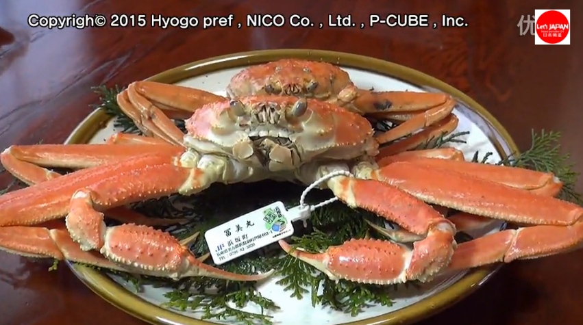 台湾美女大口吃日本螃蟹火锅