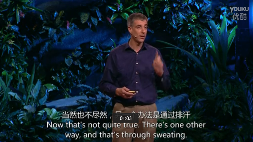 TED演讲集:美妙的神经系统：丹尼尔・沃普特:拥有大脑的真正原因