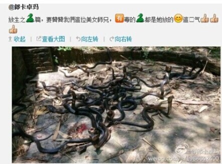 女子公园放生五步蛇称积德