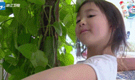 /image/2015/0624/1435129108.gif