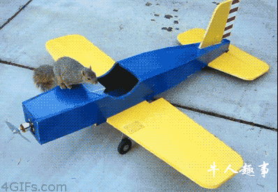 小松鼠偷开飞机模型上天后安全降落