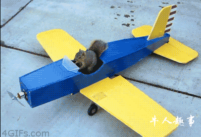 小松鼠偷开飞机模型上天后安全降落