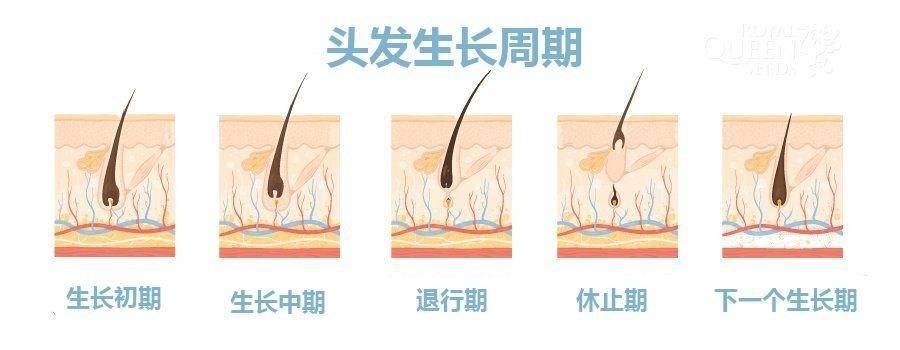 小孩子头发稀疏怎么回事(经常剃光头对头发好吗)