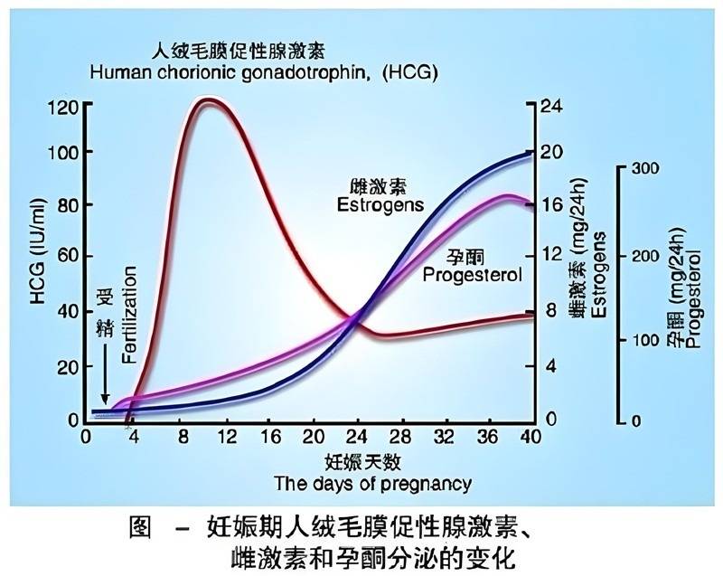 怀孕都有哪些症状反应(孕前和孕期保健指南)