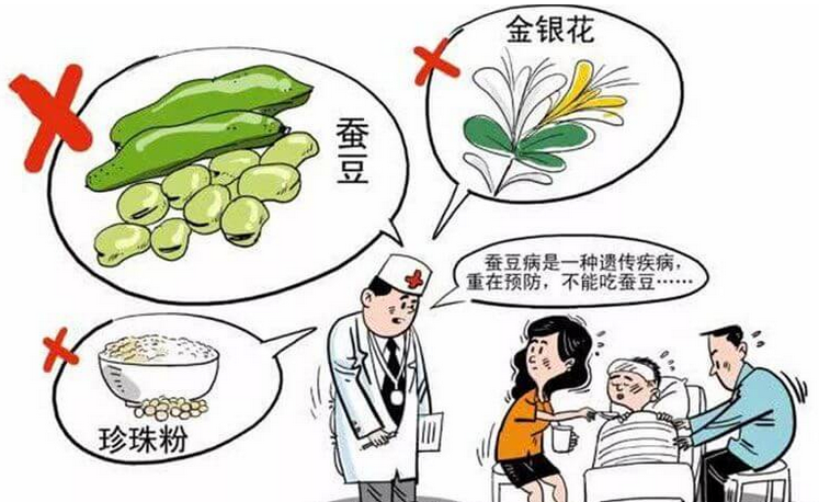 蚕豆病可以根治吗(蚕豆病西药、中药治疗方法)