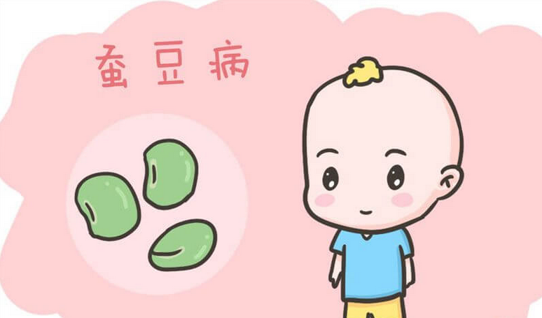 蚕豆病可以根治吗(蚕豆病西药、中药治疗方法)