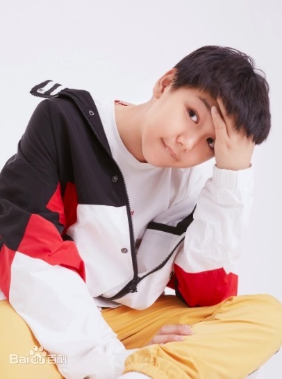 王艳儿子球球现状哪年出生 王艳儿子参加的综艺是什么？