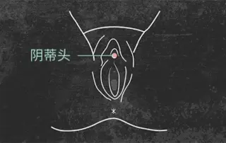 女性的小豆豆在哪个位置？怎么揉才能舒服愉悦？