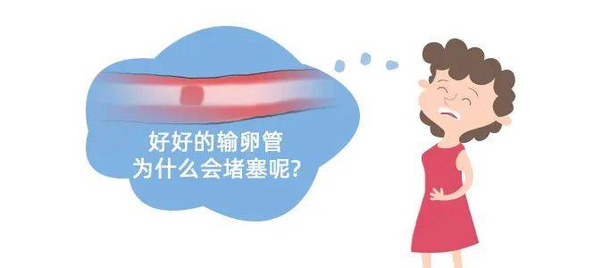 为什么输卵管堵塞会找上你(检查堵塞输卵管要做什么检查)
