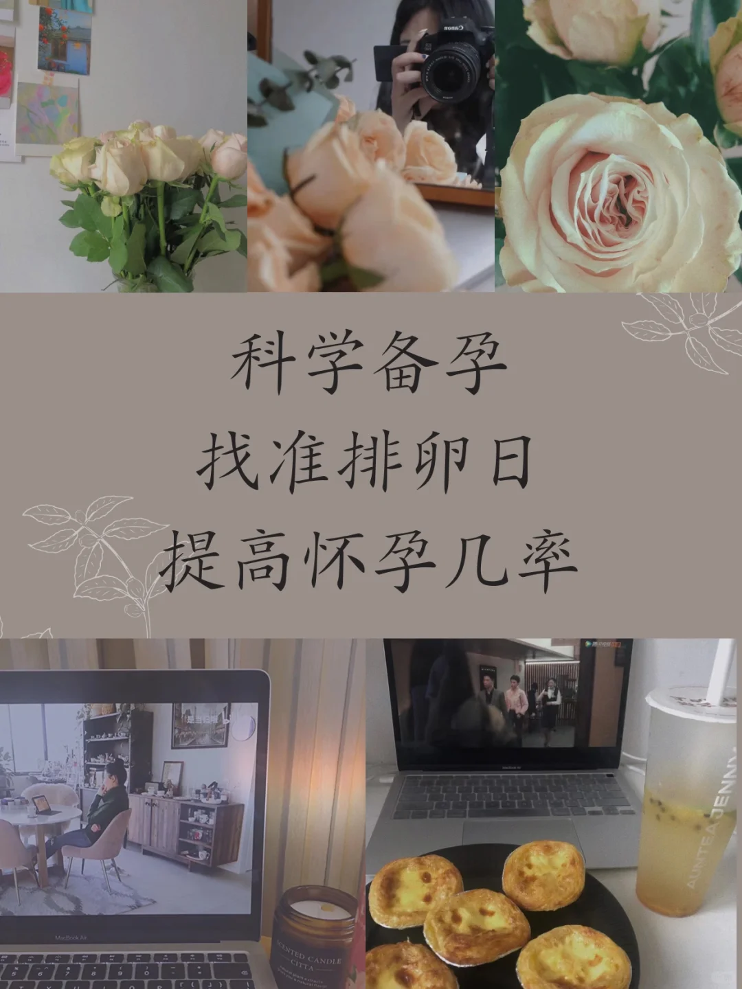 科学备孕:找准排卵日,提高怀孕几率