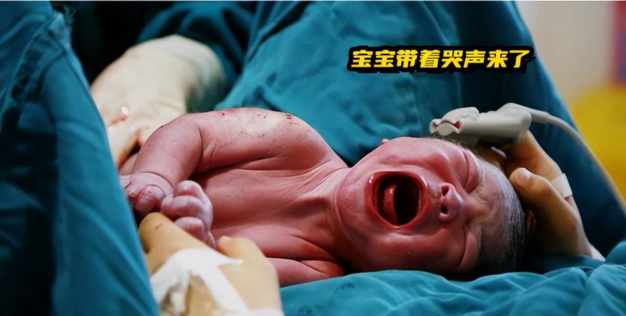 为啥宝宝一出生就会被抱走?消失的十几分钟都经历了什么？