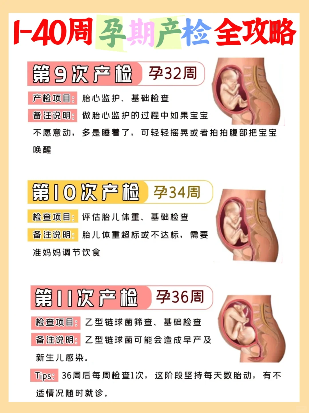 怀孕必看！1-40周孕期产检全攻略,一路绿灯哦