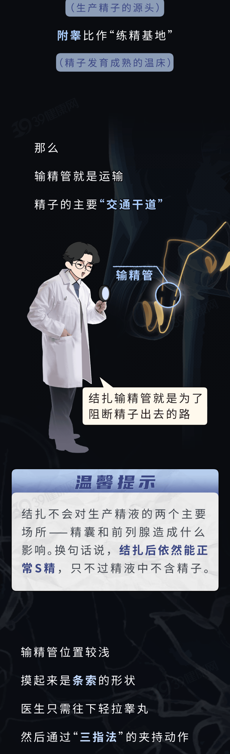 男性结扎后精子都去哪了？