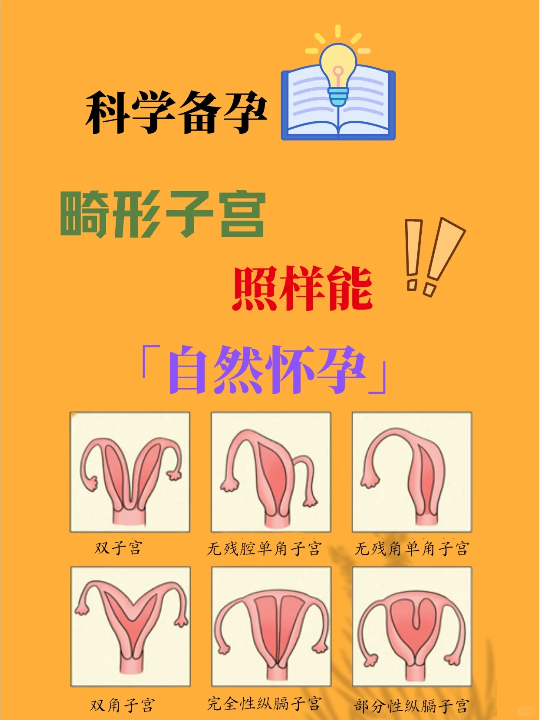 科学备孕，畸形子宫照样能够自然怀孕！
