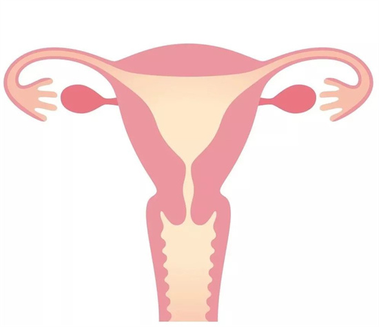 揭秘子宫保养的五大绝招,女性子宫保养非常关键!