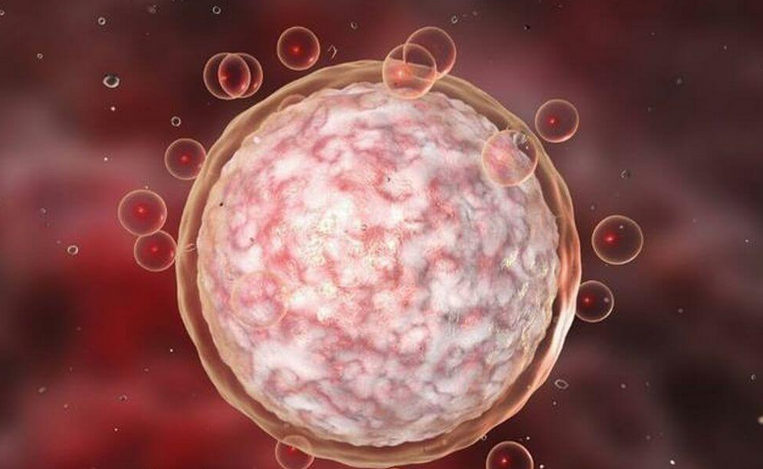 卵泡破后同房怀孕的几率大吗？附卵泡破后同房的注意事项