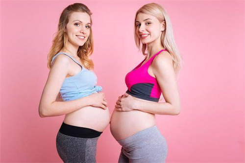 解析孕妇梦见黑蛇的梦境！孕妇梦见不同情况的黑蛇有什么含义