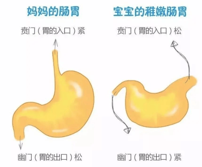 宝宝为什么总吐奶？竖抱拍背有危险！避坑经验都帮你总结出来了