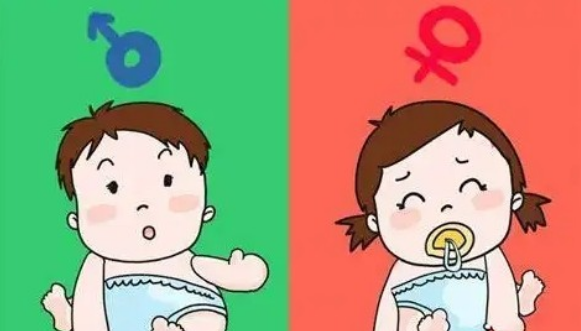 很准的2026生男生女清宫表图一览！准确性真的高达100%吗
