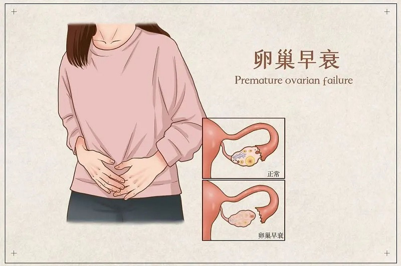 你的卵巢衰老了吗？女人有这些表现说明卵巢老了