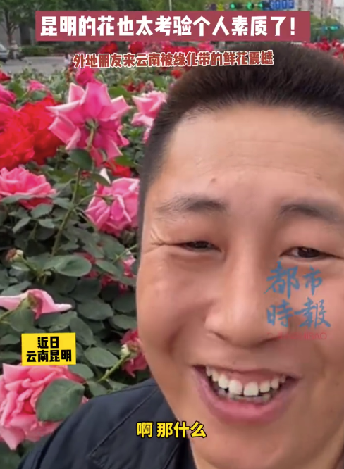 昆明的花太考验个人素质了！网友：你看这个花，比我脸盘子还要大