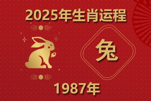 1987年属兔2025年的运势及运程