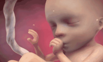 子宫里的水为什么要叫"羊水", 而不是"人水",或者其他的水?