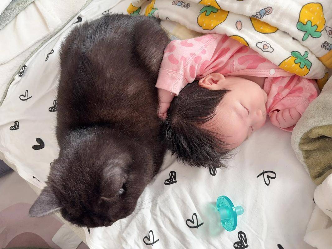 社区医生:怀孕别养猫了,二手烟反倒没事!孕妇无语了