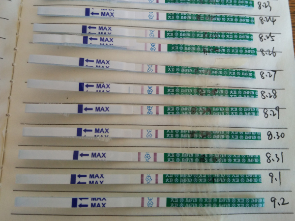 一张验孕棒图片告诉你,假阳性和真阳性有这些区别