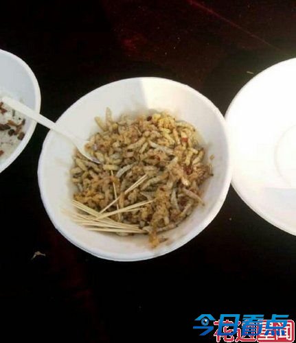 大学举办昆虫宴吃光50斤虫子 只为认识昆虫