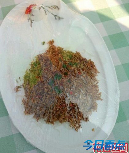 大学举办昆虫宴吃光50斤虫子 只为认识昆虫