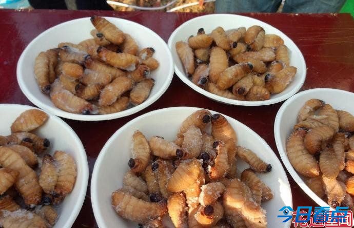 大学举办昆虫宴吃光50斤虫子 只为认识昆虫