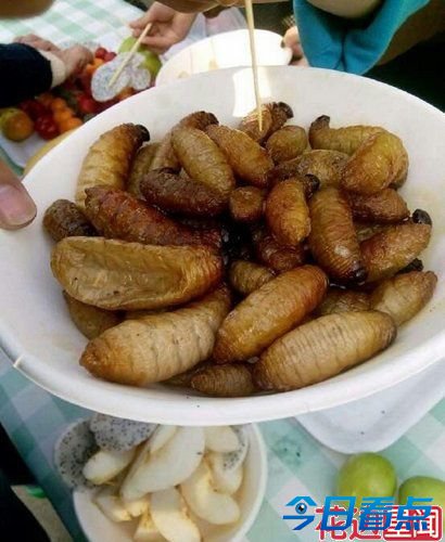大学举办昆虫宴吃光50斤虫子 只为认识昆虫