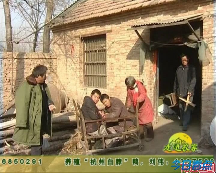 “慈母”毒杀脑瘫双胞胎儿子 3000人联名求情