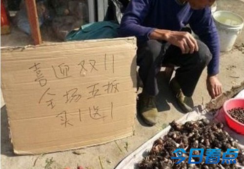 天猫为双11数据有误道歉：1.5米长内裤纯属乌龙