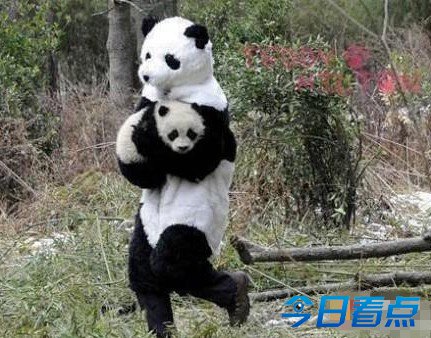 不知道该如何直视这家航空公司