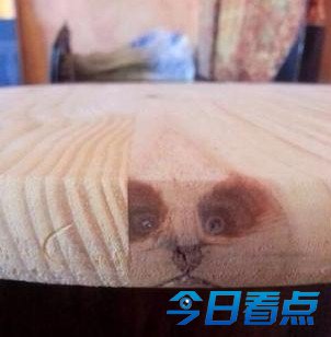 4个如花似玉的比基尼少女