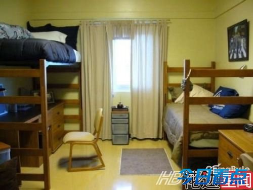 学生宿舍养鳄鱼 看其他屌炸天的学生公寓盘点 