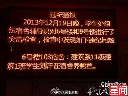 学生宿舍养鳄鱼 看其他屌炸天的学生公寓盘点 
