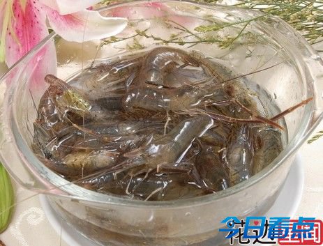 男子酷爱吃生鱼醉虾患病 肝脏50多条吸虫
