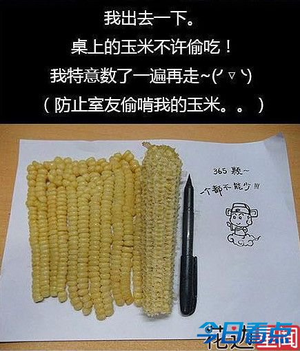 华师大创意帝魏泽楷 折腾着就成了“男神”