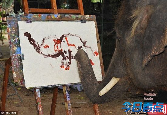 泰国大象用鼻子画自己“肖像” 擅长印象派