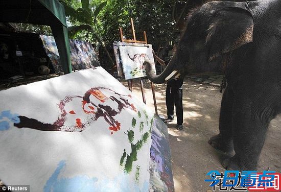 泰国大象用鼻子画自己“肖像” 擅长印象派