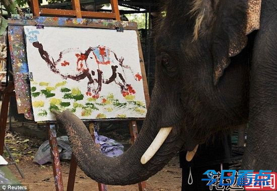 泰国大象用鼻子画自己“肖像” 擅长印象派