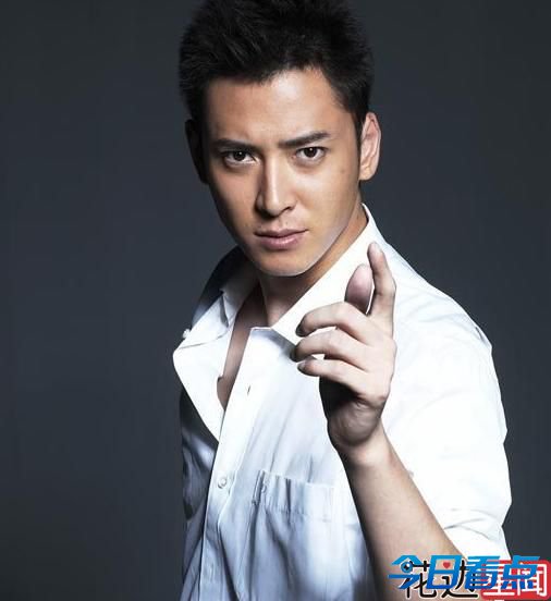 盘由绿叶晋升主角的当红小生 多年媳妇熬成婆