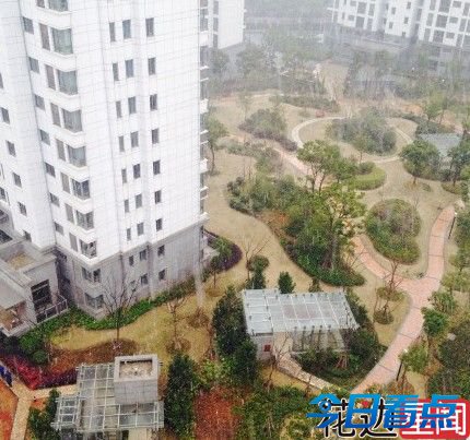 申城昨迎迟到初雪 今日局部仍飘雪气温跌至冰点
