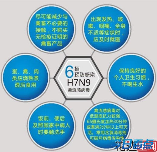 H7N9疫情仍在扩散 疫苗研发已基本完成临床前研究